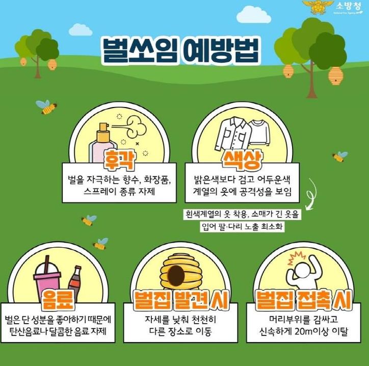 남양주소방서, 여름철 벌쏘임 사고 예방 당부