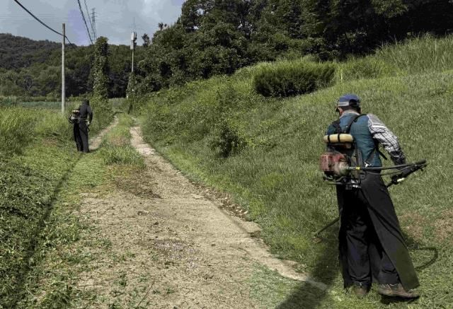 처인구는 공설‧공동묘지 14곳에서 제초 작업을 했다. 사진은 창리공동묘지