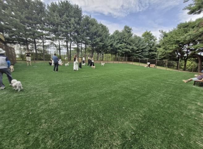정발산공원 내 반려견 놀이터