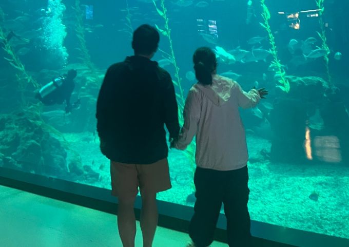 행복 더하기 가족 지원 프로그램