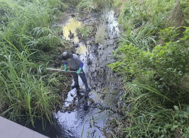시흥시, 추석 연휴 환경오염 예방 특별환경감시반 운영