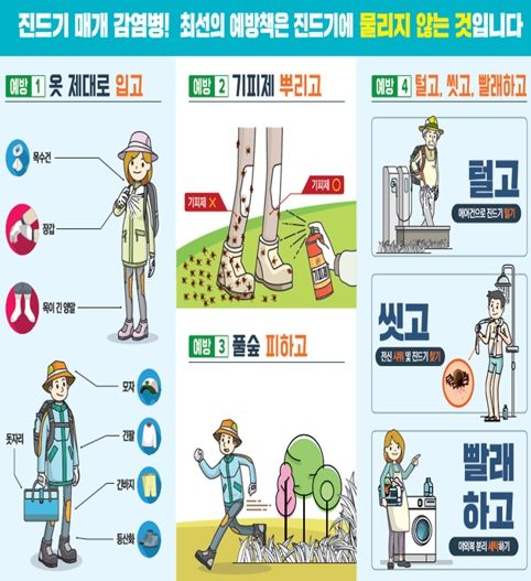광주광역시, 쯔쯔가무시증 10∼11월 80% 발생…야외활동 주의