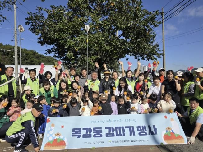 시흥시 목감동 주민자치회 '가을의 풍요로움' 감 따기 행사 성료