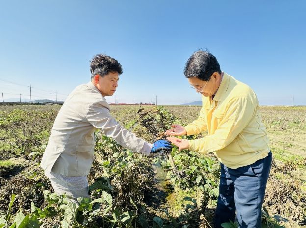 권익현 부안군수, 논콩 피해 현장 방문 점검 실시