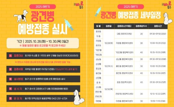 대전 동구, 2025년 하반기 ‘광견병 예방접종’ 실시