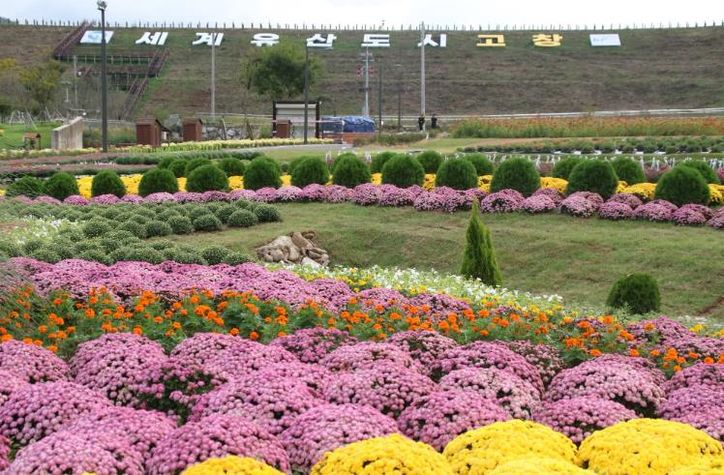 고창 꽃정원