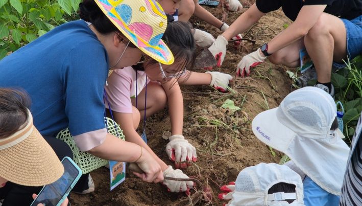 대덕문화관광재단이 운영한 ‘팜스테이’ 프로그램에 참가한 가족들이 소슬촌 농촌체험마을에서 농작물을 직접 수확하며 즐겁게 체험활동을 하고 있다.