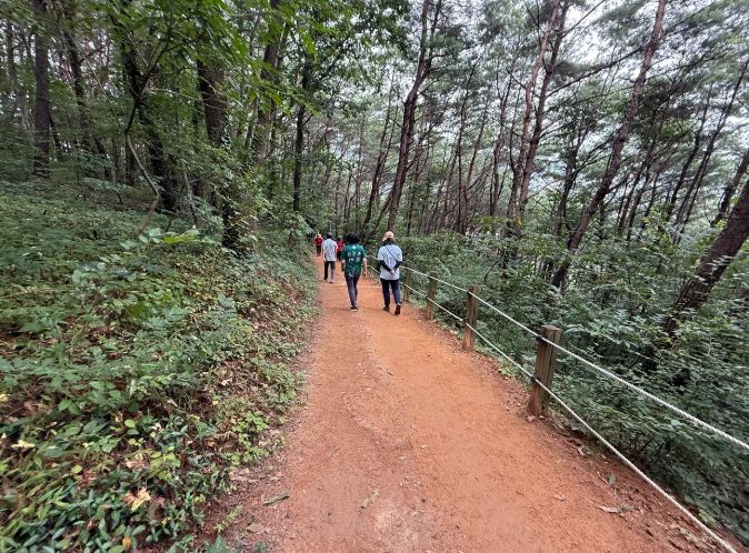 조례호수공원 산책로 환하게 밝힐 조명공사 착공