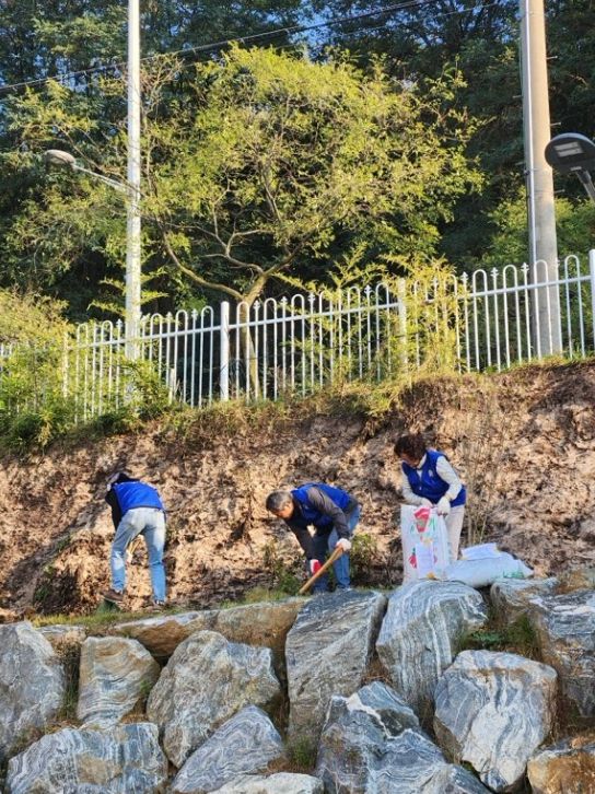 나라사랑 무궁화나무 식재