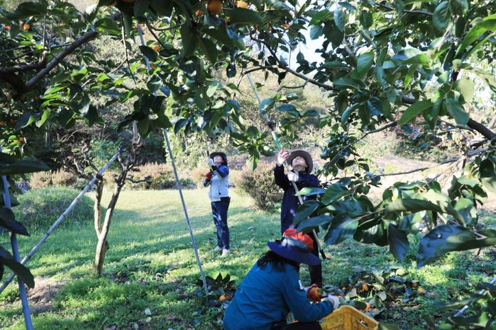 함양군 2025 하반기 농촌일손돕기