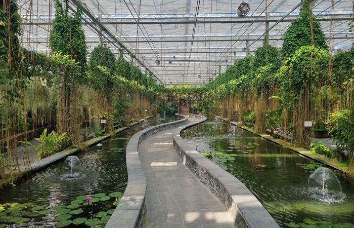 정글 속으로! 함평군 ‘수생식물관’, 이색 연출 인기 만점