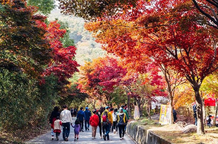 추천 관광지 사진-구례 지리산 피아골.
