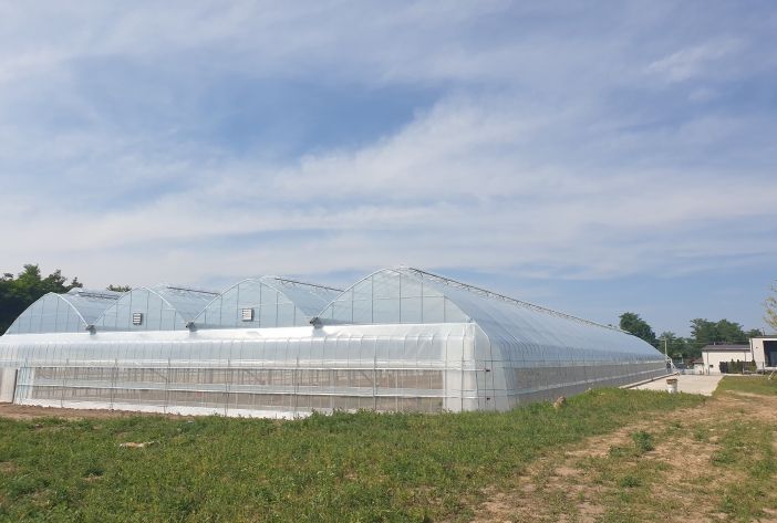 내재해형 비닐하우스