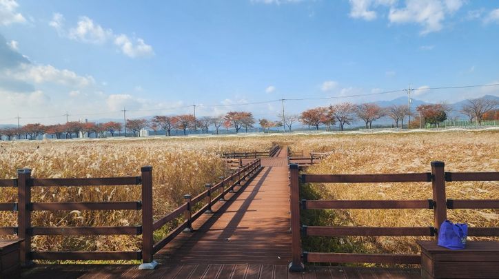 해파랑길 44코스