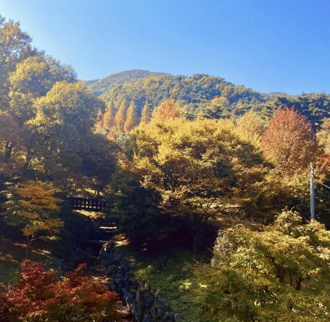 봉수산 자연휴양림 단풍 모습