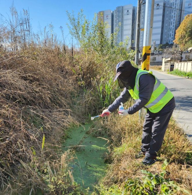 동절기 모기 유충구제 사업 집중 추진