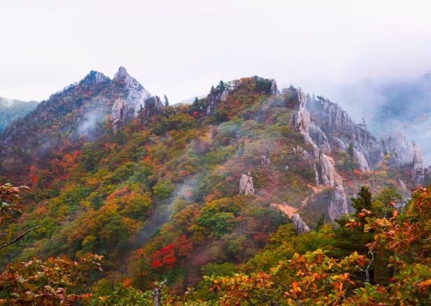 금상 어승완 공룡능선의비경(경기 군포)