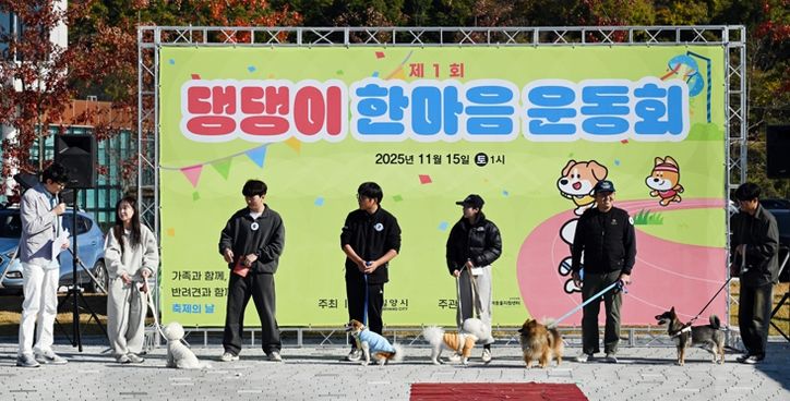 선샤인 밀양 테마파크에서 제1회 댕댕이 한마음 운동회에서 반려견 개인기 대회가 열리고 있다.