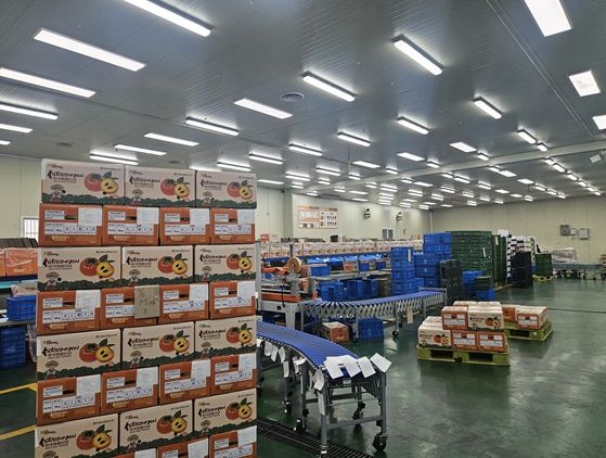 김해시 진영단감, 농수산물 온라인도매시장 특화상품 선정