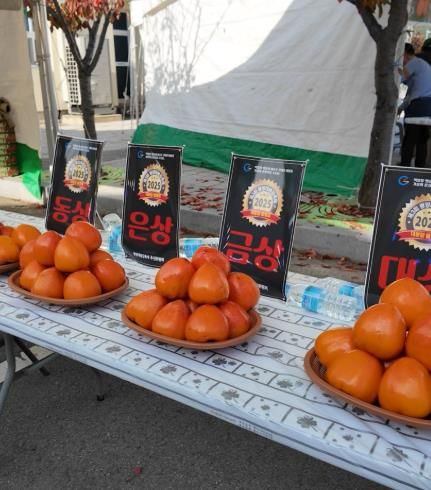 제3회 광양대봉감축제 성황리에 마무리 - 진상면(대봉감 품평회 수상 대봉감).