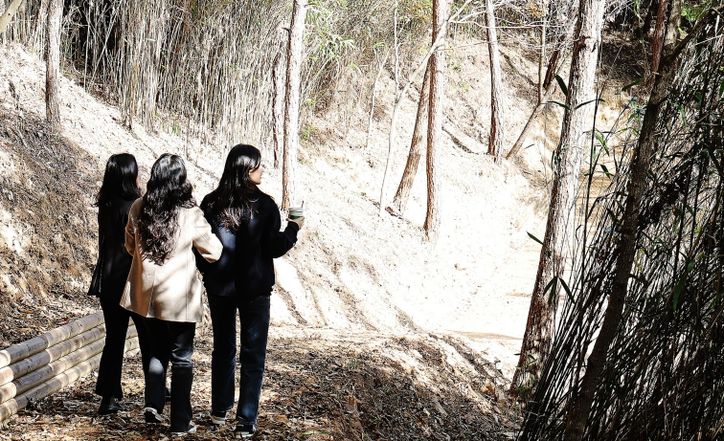 함평군 기산봉 힐링숲길 산책