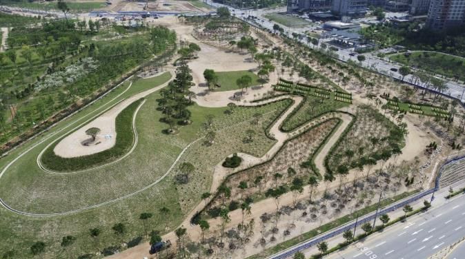 충주 시민 참여의 숲 조성 ‘순항’