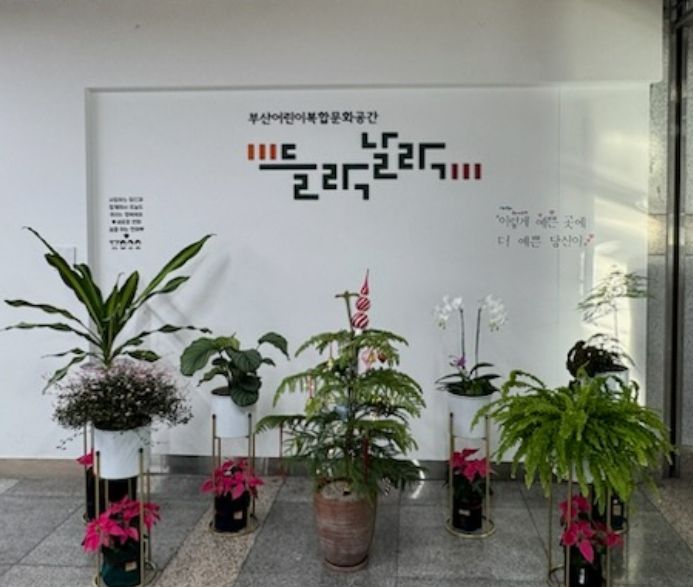 연제구, 반짝이는 트리