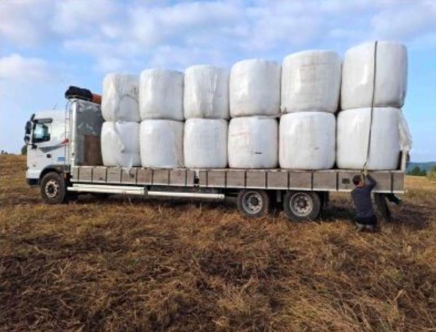 조사료 물류비 지원