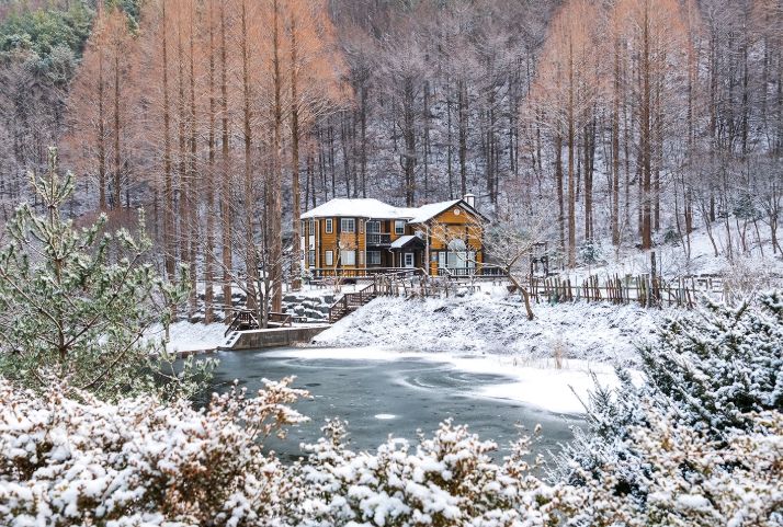 논산시 4계절 꽃 피는 온빛수목원 조성