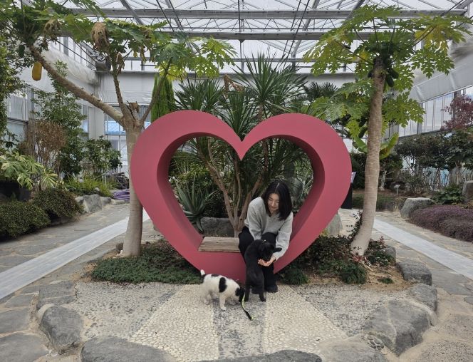 사천시유기동물보호소, 새로운 가족을 기다립니다.