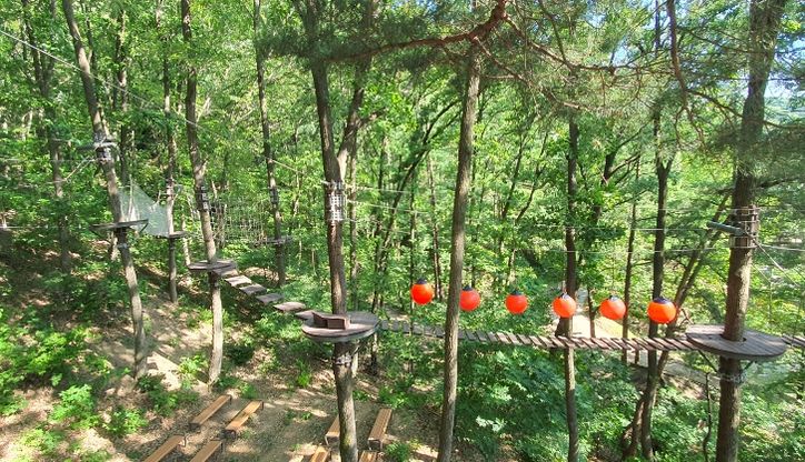 내달 태조산 산림레포츠단지 개장