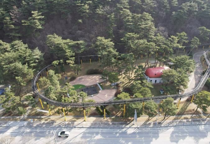 보은군, 산림교육·체험공간 ‘속리산 유아숲체험원’ 조성 박차