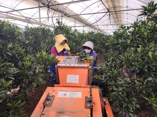 농번기 파쇄기 사용