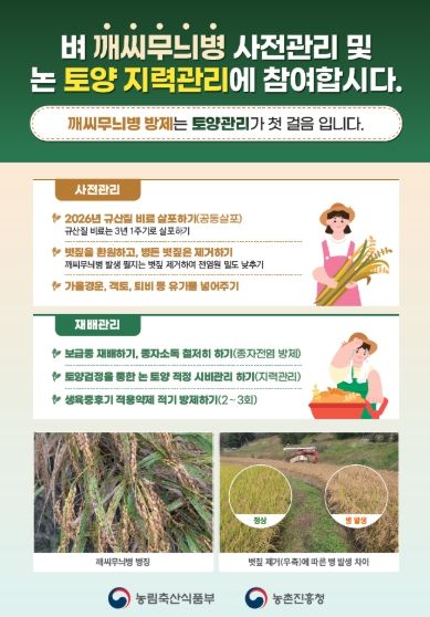 벼 깨씨무늬병 사전 관리 및 논 토양 지력 관리 방법 안내문