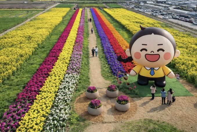 유채꽃축제 조감도