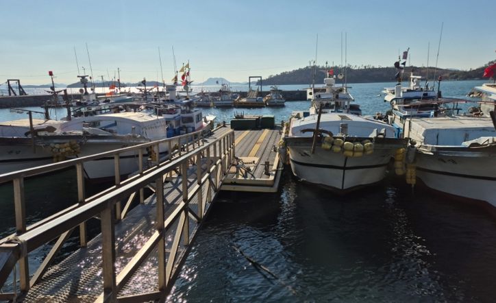 어업어선 선진화