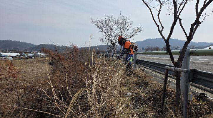 성주군, 봄맞이 국도 30호선 가로변 환경 정비를 통한「우리동네 새단장」추진