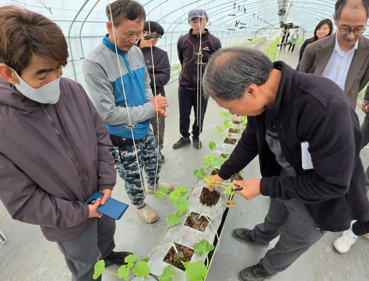 농업기술센터, ‘수경멜론 찾아가는 현장 컨설팅’