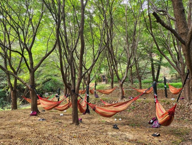증평 좌구산 자연휴양림, 한국관광공사 우수 웰니스 관광지 재지정