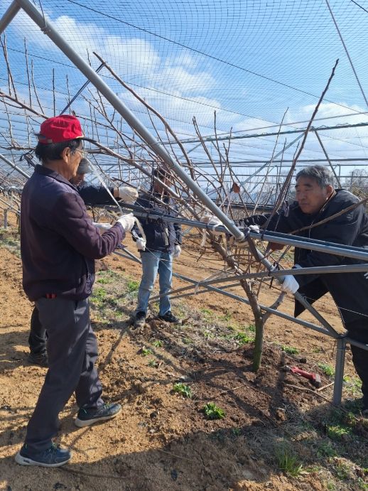 맞춤형 영농지원 본격화