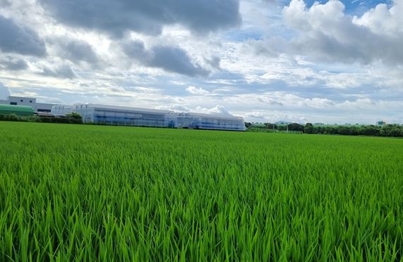 벼 발아율 저하 대비 현장지도 강화