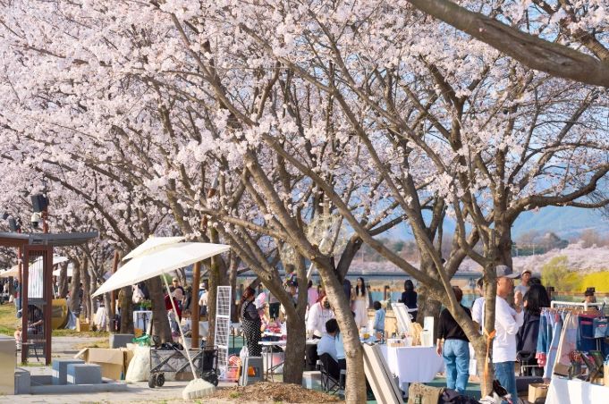 2026 제4회 구례300리 벚꽃축제