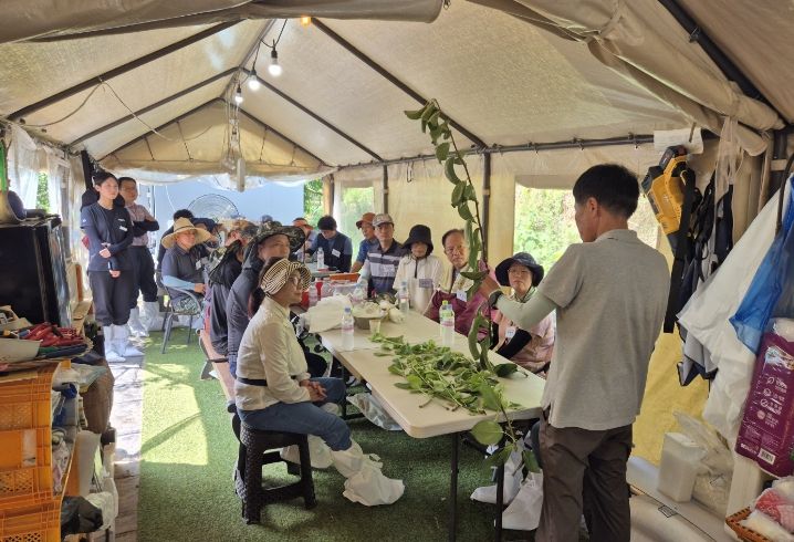 나주시가 2026년도 나주시농업인대학 ‘청년배전문반’ 교육생을 모집한다. 사진은 지난해 청년배전문반 교육 진행 모습.