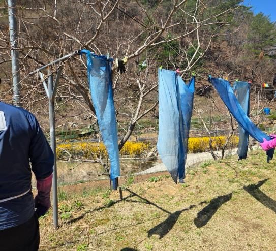 치유농업 연계 치매가족 야외 치유프로그램