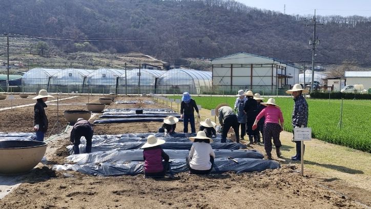 기억씨앗 치유농업 프로그램 운영