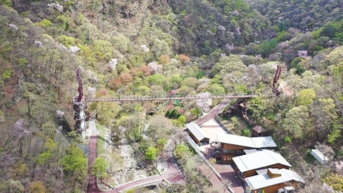 금산산림문화타운