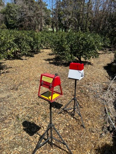 디지털트랩 설치 전경